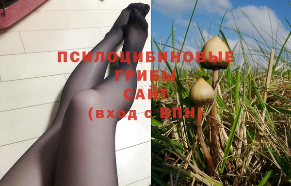 винт Козельск