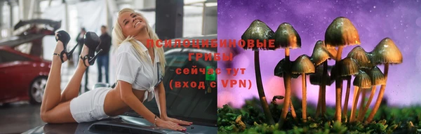 ешки Кодинск
