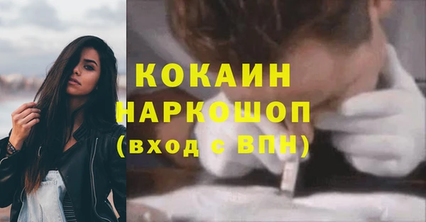 гидра Козловка