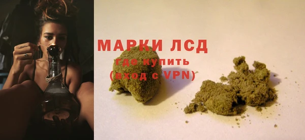 гидра Козловка