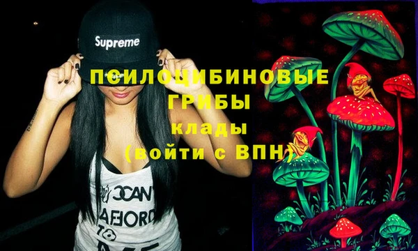 гидра Козловка