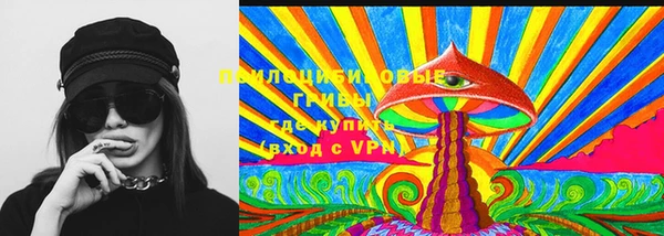 ешки Кодинск