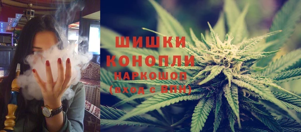 гидра Козловка