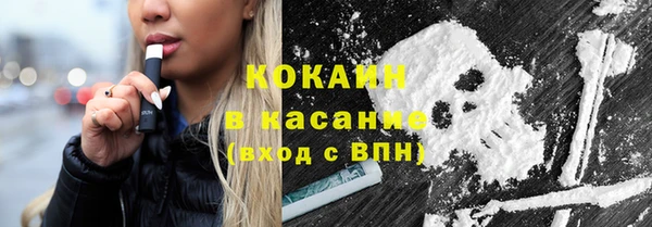 гидра Козловка