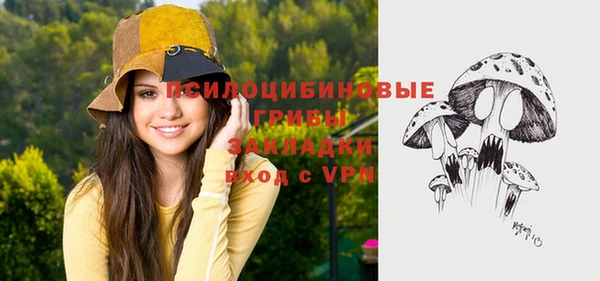 винт Козельск