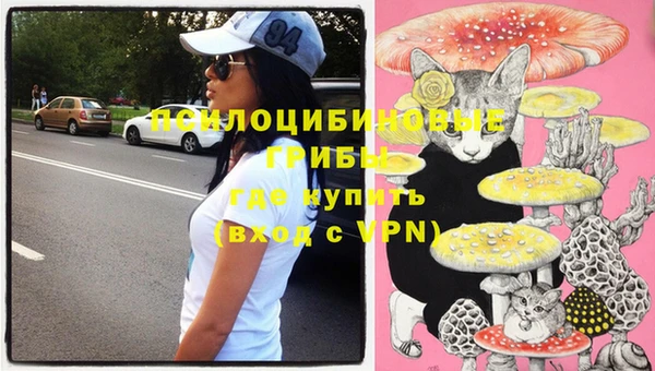 ешки Кодинск