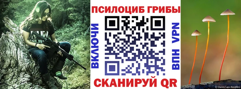Псилоцибиновые грибы ЛСД  Талица 
